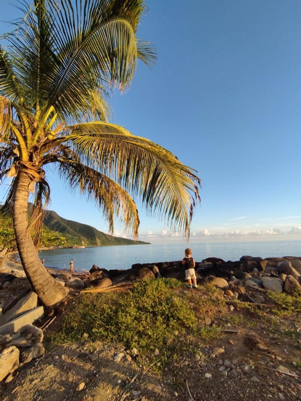 Kaz A Soley - Gite Vue Panoramique Sur La Mer - Plage A 500M Gourbeyre Extérieur photo